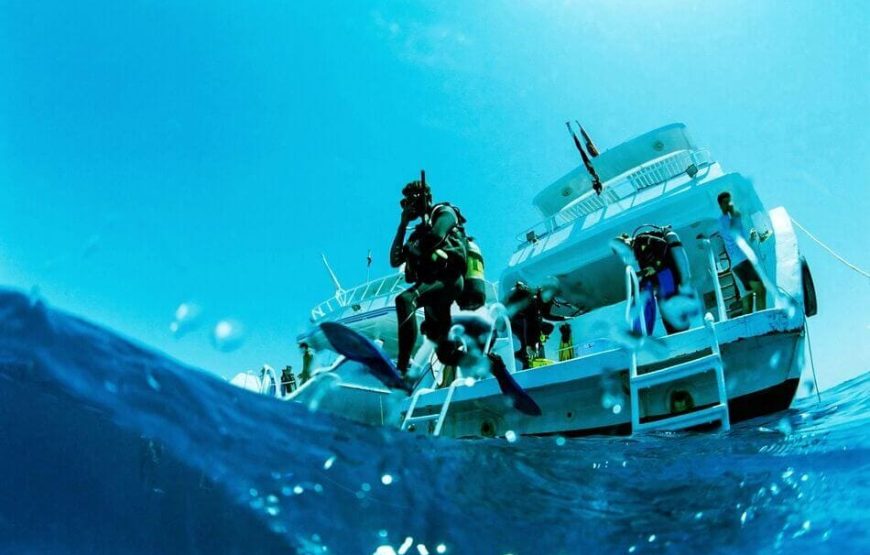 “Red Sea Diving in Hurghada” Diving