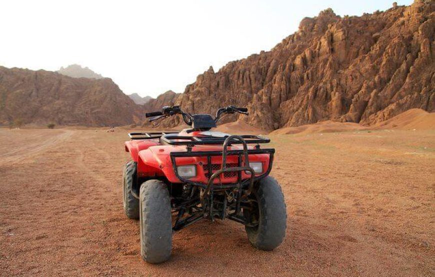“Thrilling Desert Quad Adventure!”3 Hours
