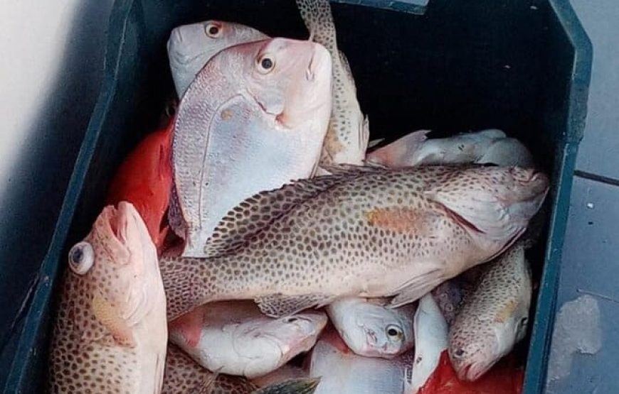expert-guided fishing trip Fishing