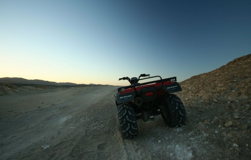 “Thrilling Desert Quad Adventure!”3 Hours