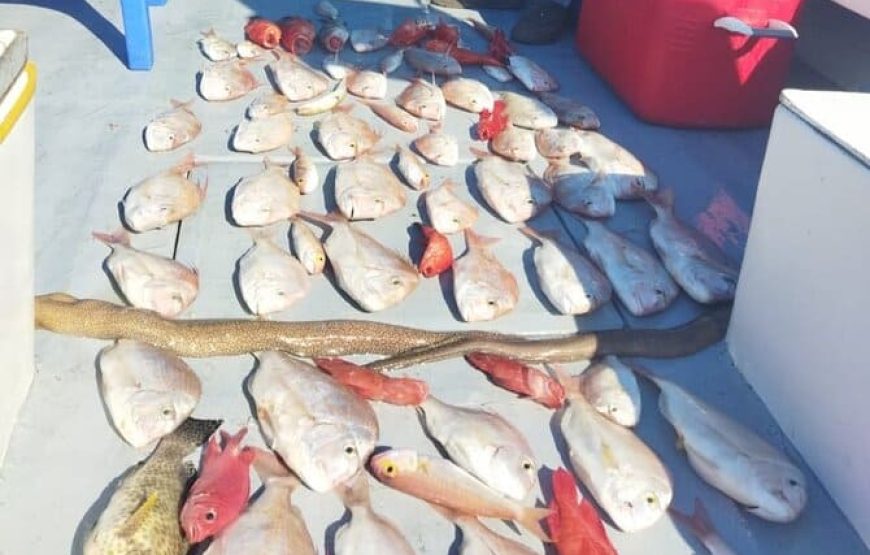 expert-guided fishing trip Fishing