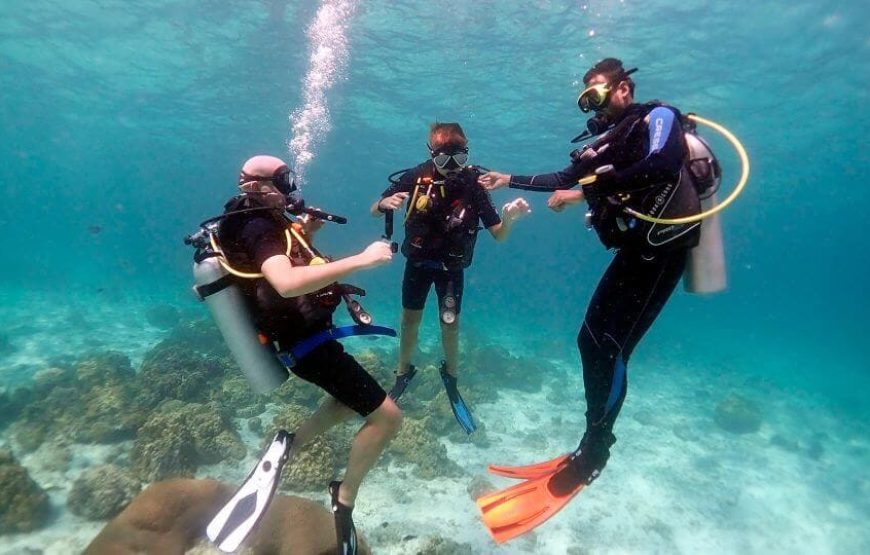 “Red Sea Diving in Hurghada” Diving
