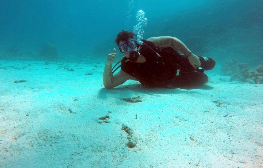 “Red Sea Diving in Hurghada” Diving