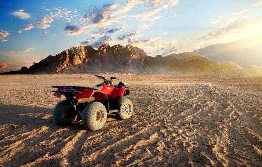 Marsa Alam quad adventure Quad 3 Hours