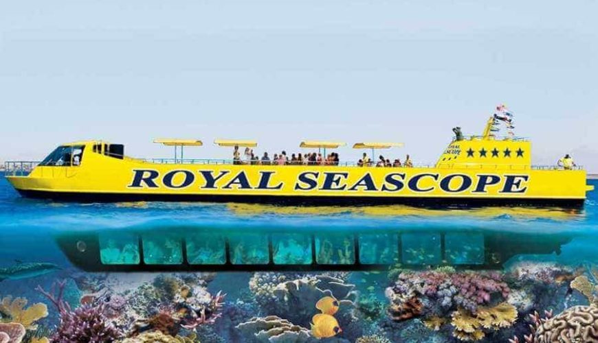  Marsa Alam's underwater adventure