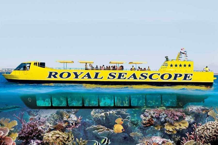  Marsa Alam's underwater adventure