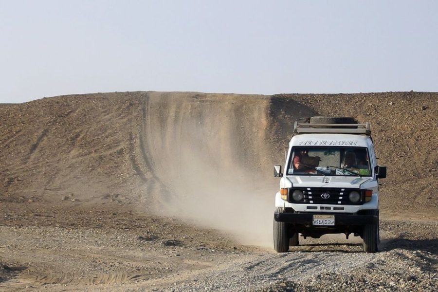 Marsa Alam safari adventure