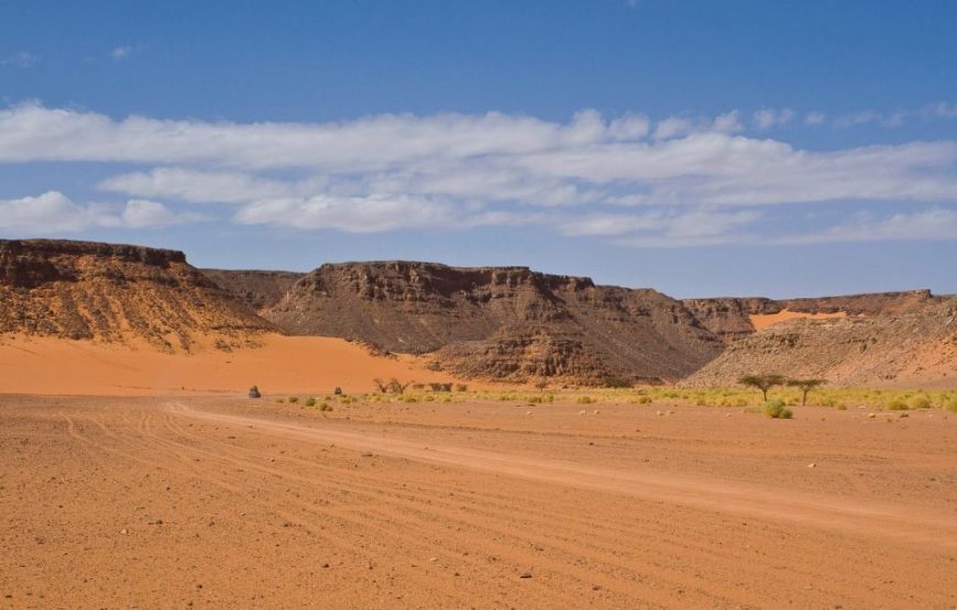 Marsa Alam quad adventure Quad 3 Hours