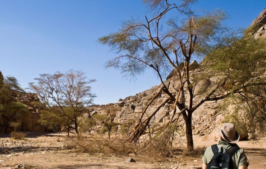 Marsa Alam safari adventure Super Safari