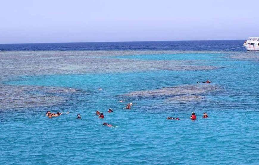 Marsa Mubarak snorkeling