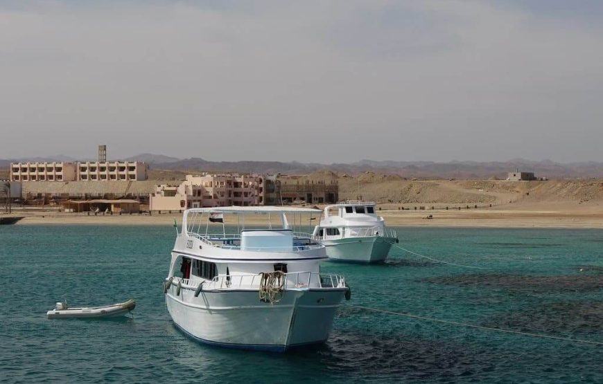 Marsa Mubarak snorkeling