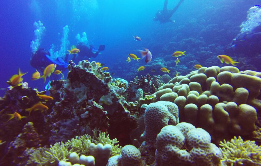 “Hamata Islands snorkeling adventure” Hamata Island