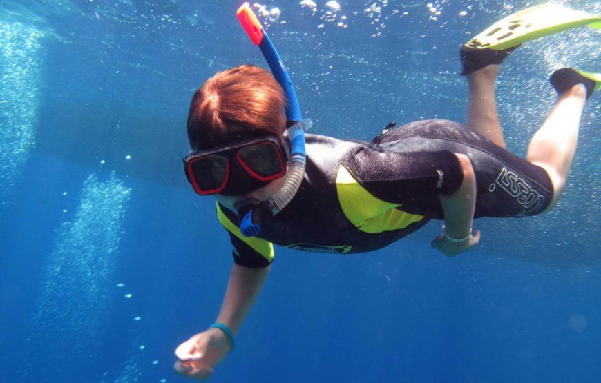 “Sataya snorkeling with dolphins” Reef