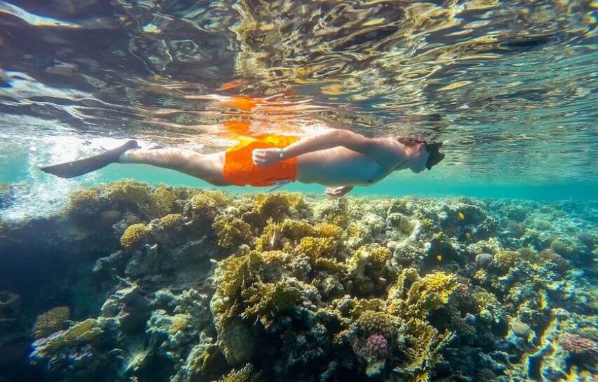 Marsa Mubarak snorkeling