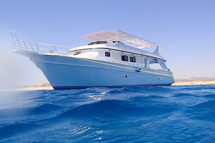 Sataya snorkeling with dolphins