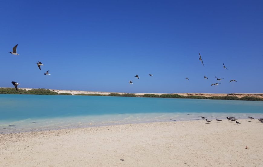 “Marsa Alam Heaven on Earth Tour” Egyptian Maldives