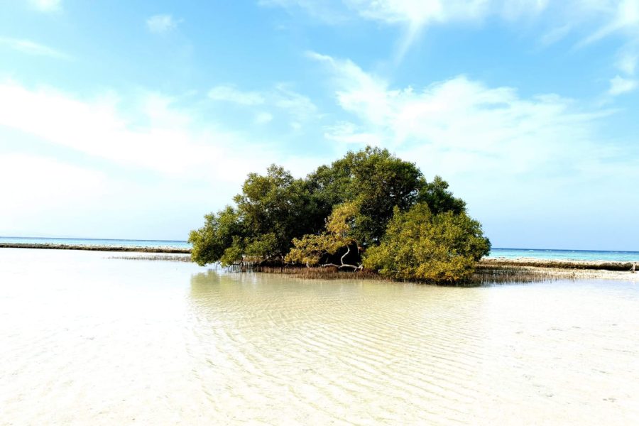 "Marsa Alam Heaven on Earth Tour"