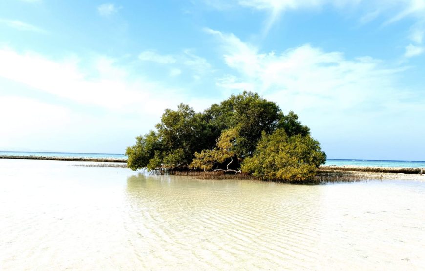 “Marsa Alam Heaven on Earth Tour” Egyptian Maldives