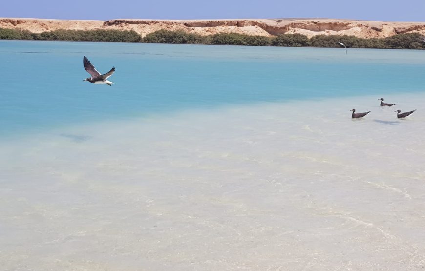 “Marsa Alam Heaven on Earth Tour” Egyptian Maldives
