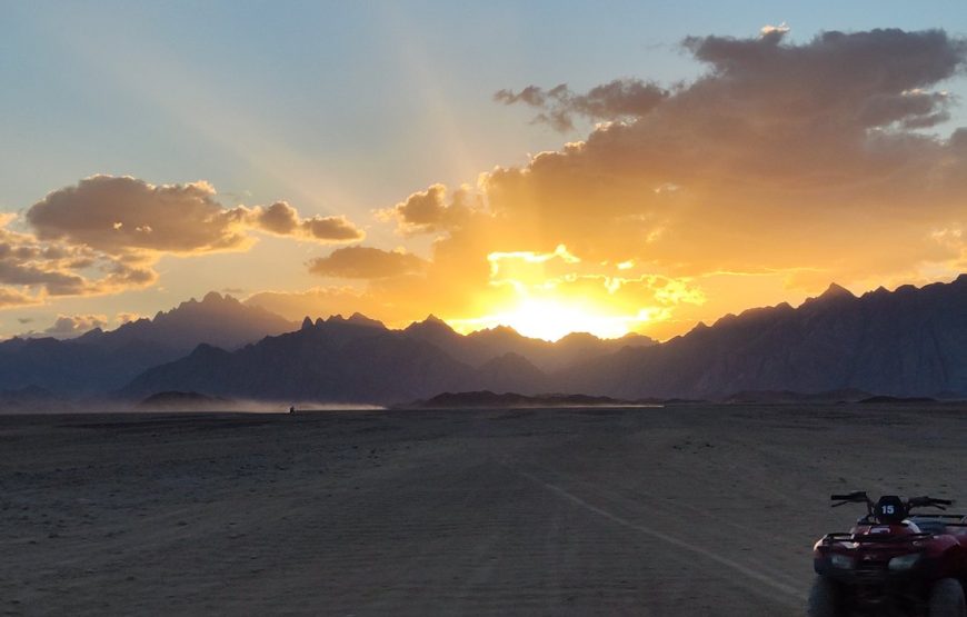 Marsa Alam quad adventure Quad 3 Hours