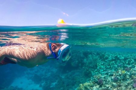 Discover Abu Dabab's marine wonders