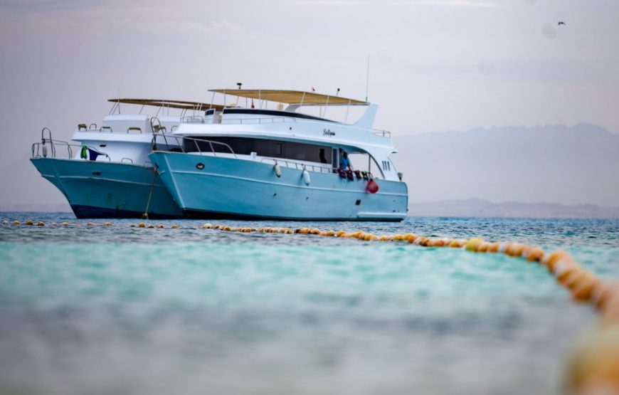 “Snorkeling in Paradise Island Hurghada” Paradise Island