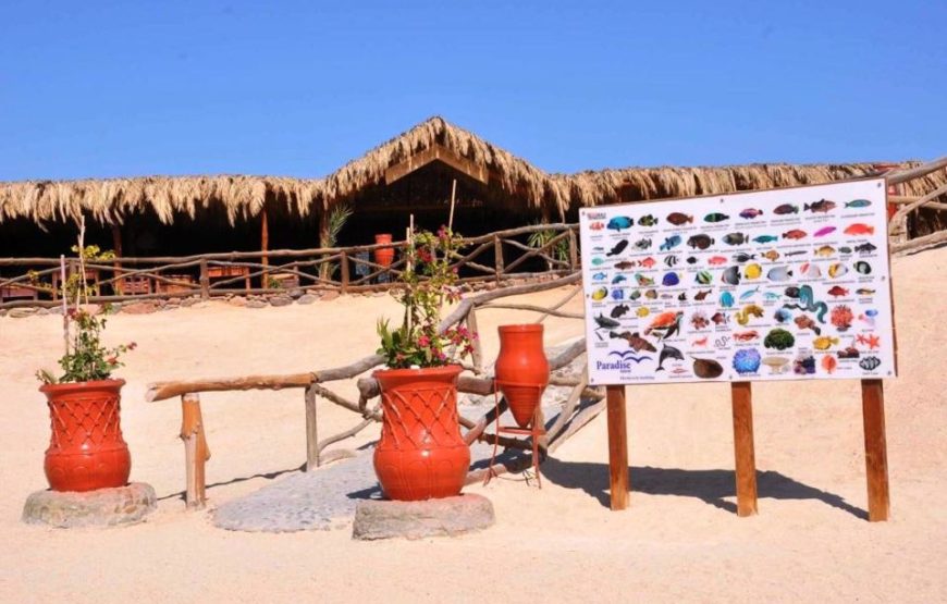 “Snorkeling in Paradise Island Hurghada” Paradise Island