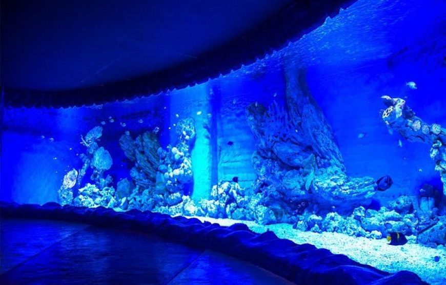 Grand Aquarium Hurghada