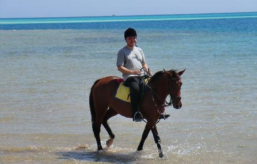 “horse riding excursion in Hurghada”