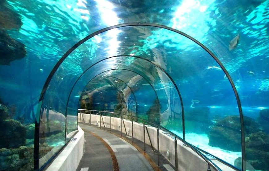 Grand Aquarium Hurghada