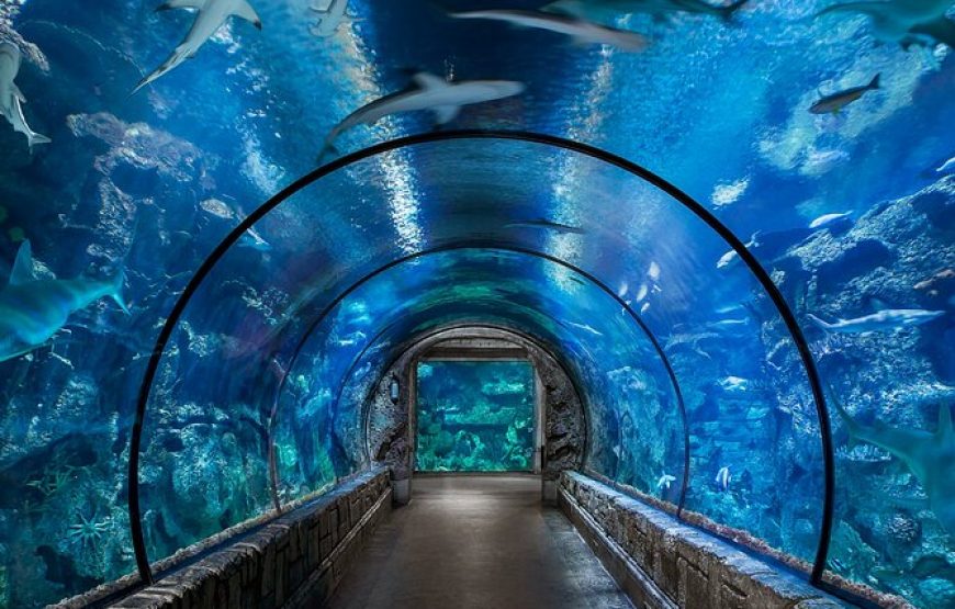 Grand Aquarium Hurghada