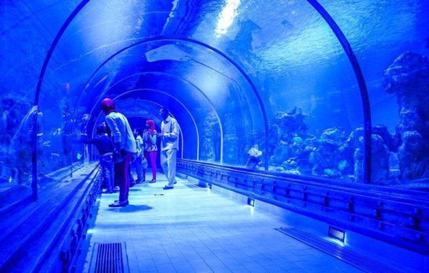 Grand Aquarium Hurghada