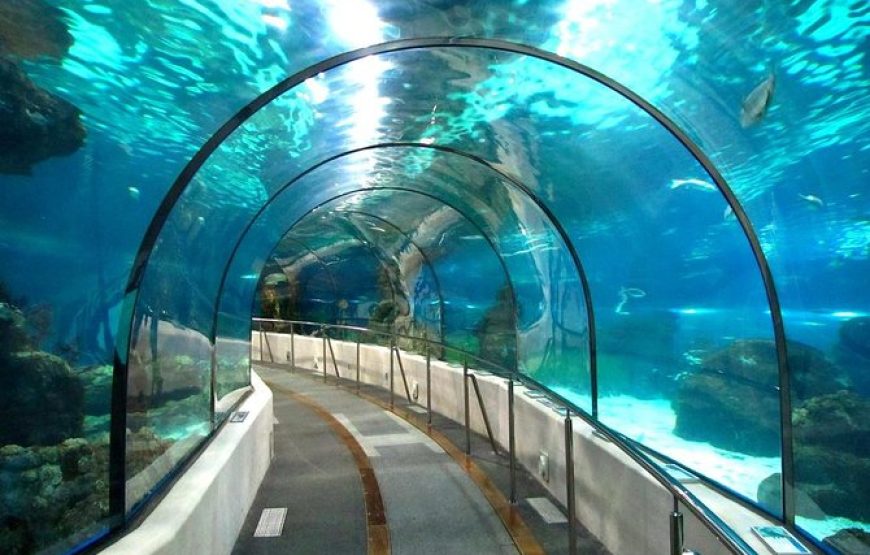 Grand Aquarium Hurghada