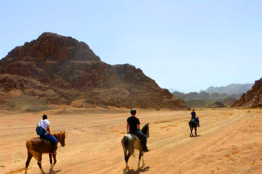"horse riding excursion in Hurghada"