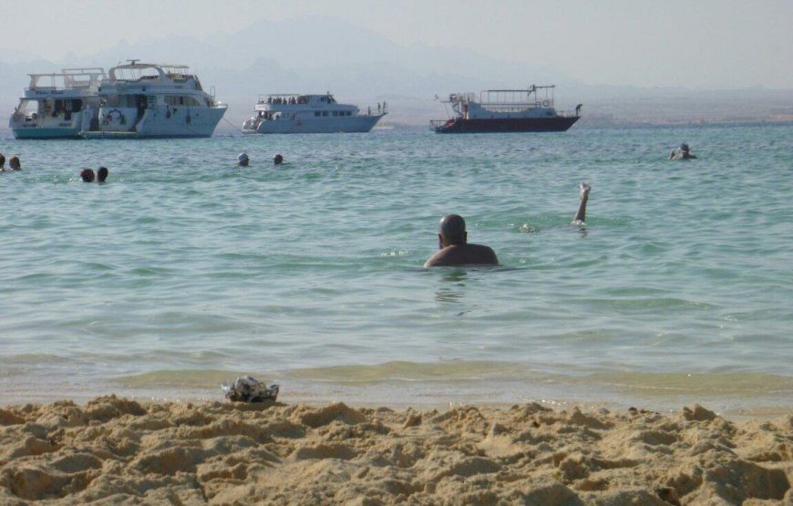 Utopia Island trip
