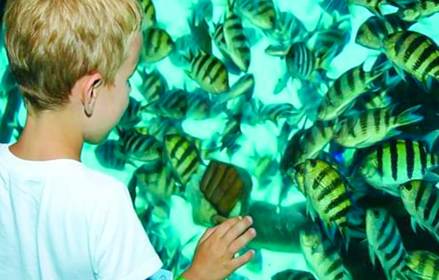 Marsa Alam’s underwater adventure