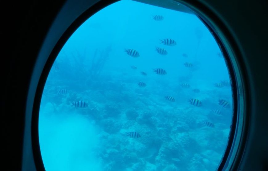 Marsa Alam’s underwater adventure