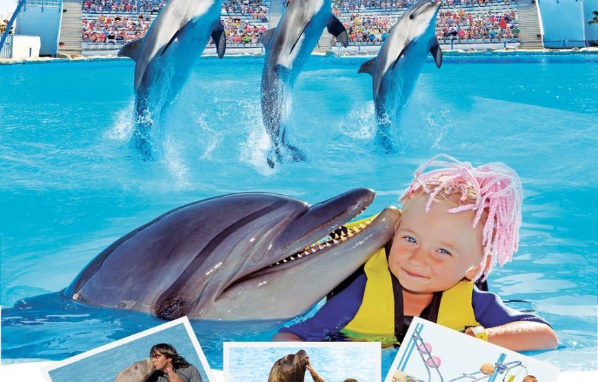 Dolphin World